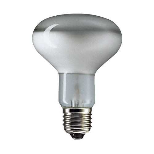 reflector light bulb R80 60 watt